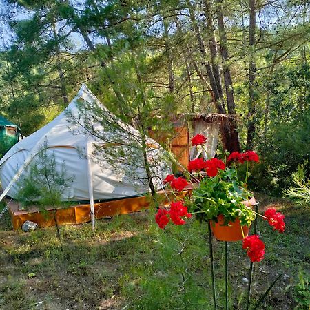 Vinsan Glamping & Wellness Centre Hotel Eleousa Buitenkant foto