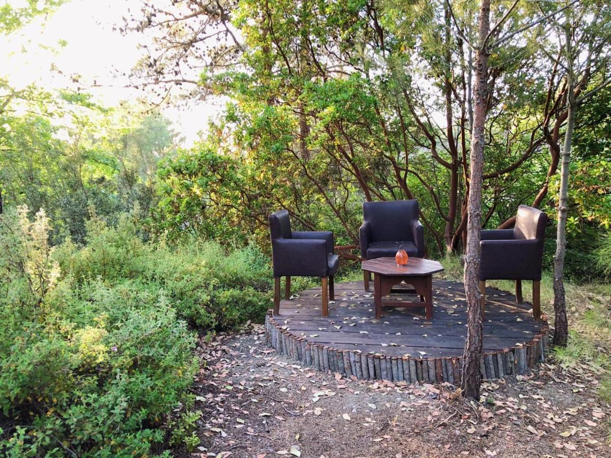 Vinsan Glamping & Wellness Centre Hotel Eleousa Buitenkant foto